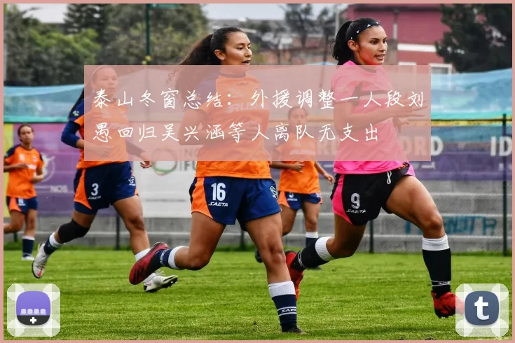 泰山冬窗总结：外援调整一人段刘愚回归吴兴涵等人离队无支出